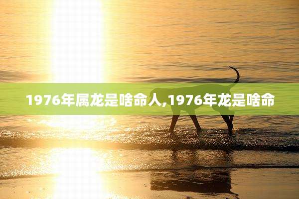 1976年属龙是啥命人,1976年龙是啥命
