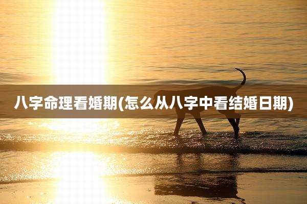 八字命理看婚期(怎么从八字中看结婚日期)