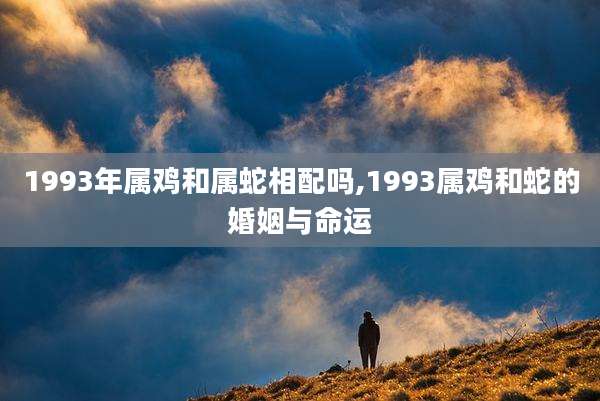 1993年属鸡和属蛇相配吗,1993属鸡和蛇的婚姻与命运