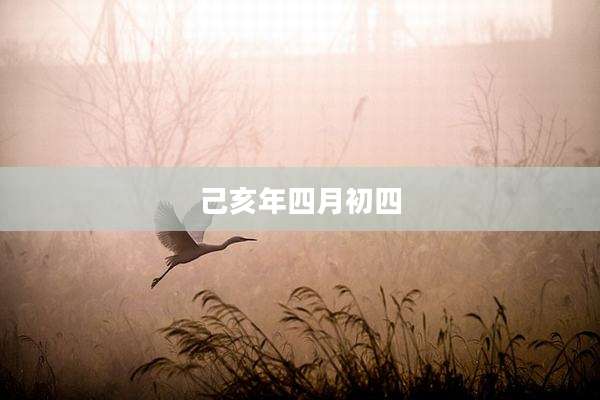 己亥年四月初四