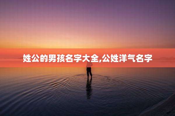 姓公的男孩名字大全,公姓洋气名字