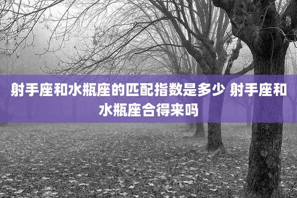 射手座和水瓶座的匹配指数是多少 射手座和水瓶座合得来吗