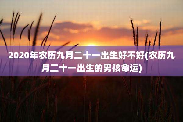 2020年农历九月二十一出生好不好(农历九月二十一出生的男孩命运)
