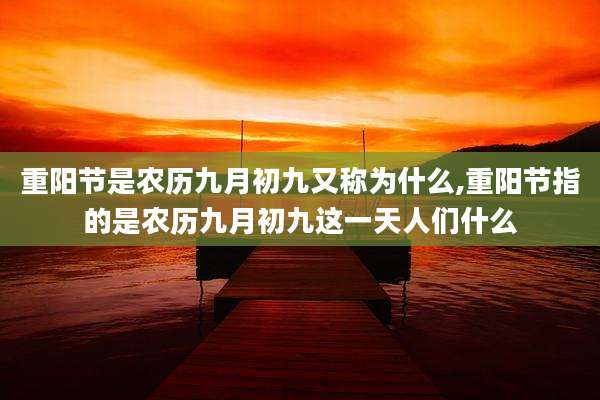 重阳节是农历九月初九又称为什么,重阳节指的是农历九月初九这一天人们什么