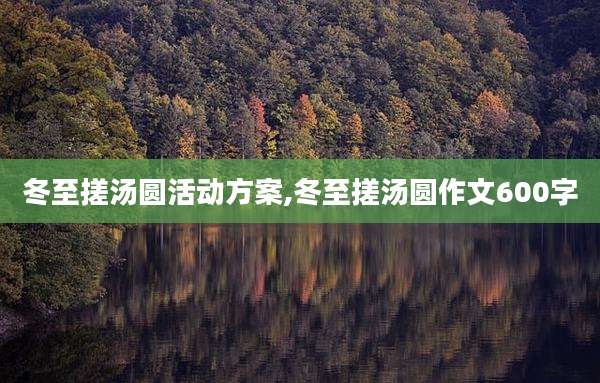 冬至搓汤圆活动方案,冬至搓汤圆作文600字