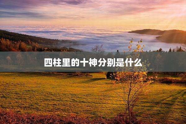 四柱里的十神分别是什么