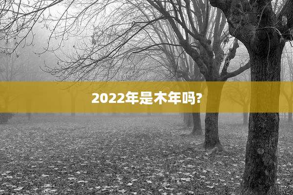 2022年是木年吗?