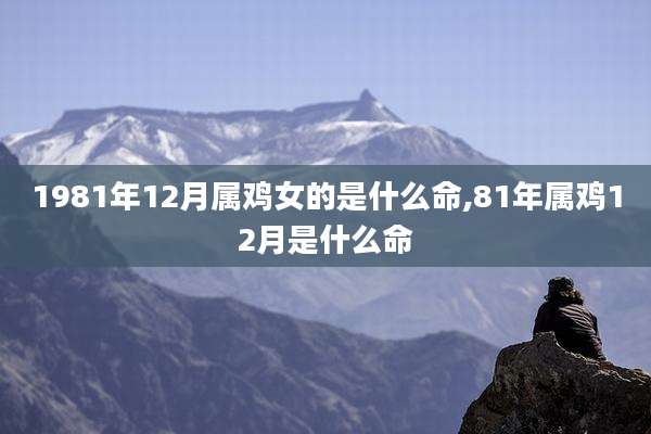 1981年12月属鸡女的是什么命,81年属鸡12月是什么命