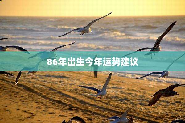 86年出生今年运势建议