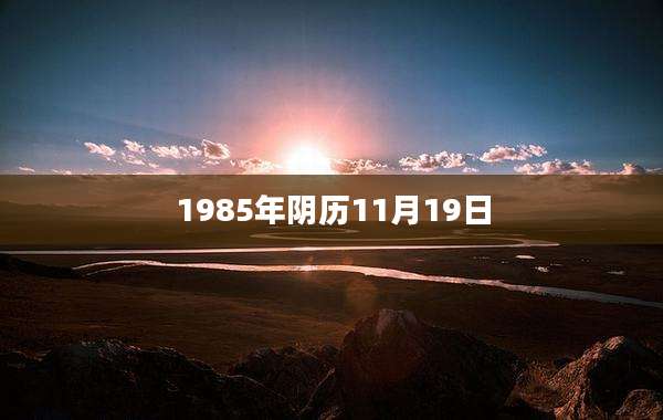 1985年阴历11月19日