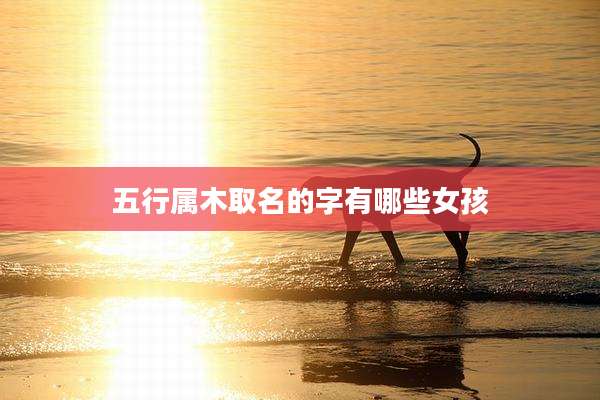 五行属木取名的字有哪些女孩