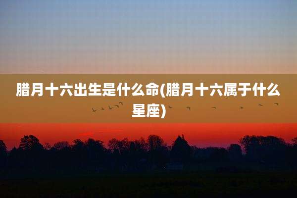 腊月十六出生是什么命(腊月十六属于什么星座)