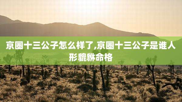 京圈十三公子怎么样了,京圈十三公子是谁人形貔貅命格