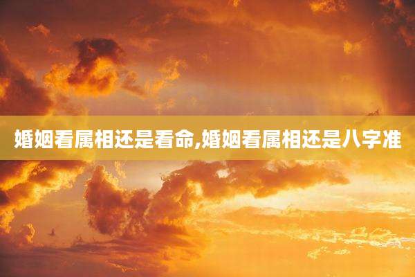 婚姻看属相还是看命,婚姻看属相还是八字准