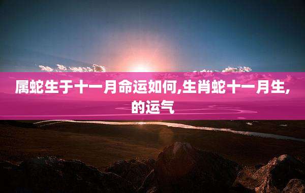 属蛇生于十一月命运如何,生肖蛇十一月生,的运气