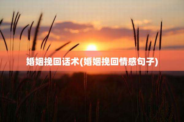 婚姻挽回话术(婚姻挽回情感句子)