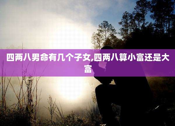 四两八男命有几个子女,四两八算小富还是大富