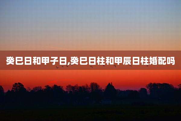 癸巳日和甲子日,癸巳日柱和甲辰日柱婚配吗