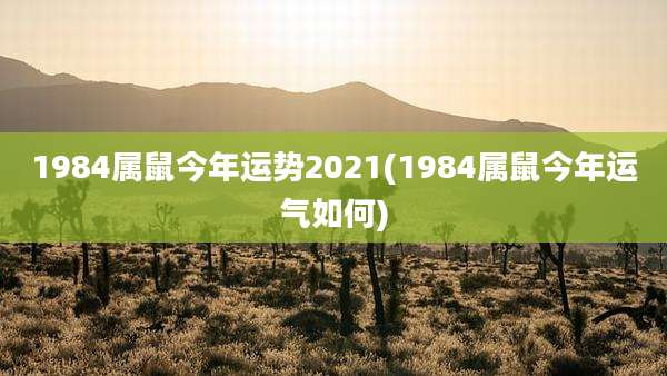 1984属鼠今年运势2021(1984属鼠今年运气如何)