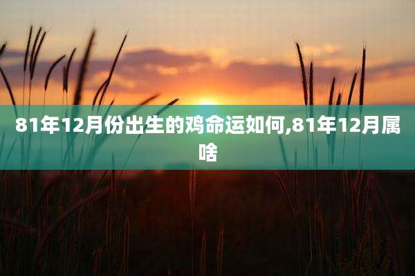 81年12月份出生的鸡命运如何,81年12月属啥