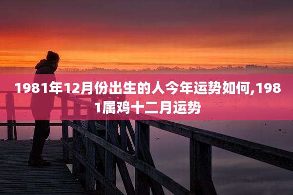 1981年12月份出生的人今年运势如何,1981属鸡十二月运势