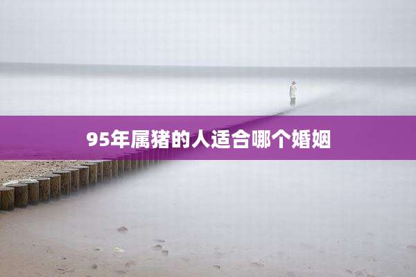95年属猪的人适合哪个婚姻