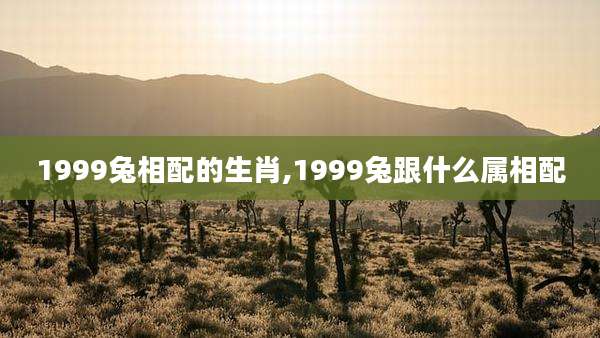 1999兔相配的生肖,1999兔跟什么属相配
