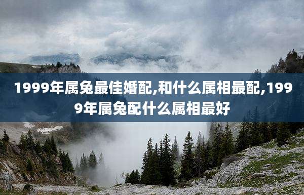 1999年属兔最佳婚配,和什么属相最配,1999年属兔配什么属相最好