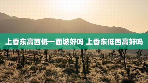 上香东高西低一面坡好吗 上香东低西高好吗