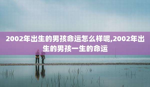 2002年出生的男孩命运怎么样呢,2002年出生的男孩一生的命运