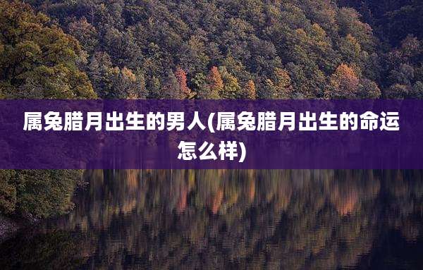 属兔腊月出生的男人(属兔腊月出生的命运怎么样)