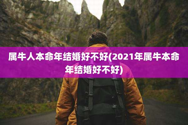 属牛人本命年结婚好不好(2021年属牛本命年结婚好不好)