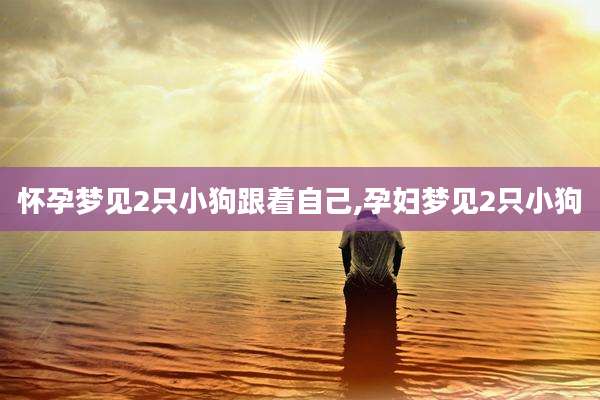 怀孕梦见2只小狗跟着自己,孕妇梦见2只小狗