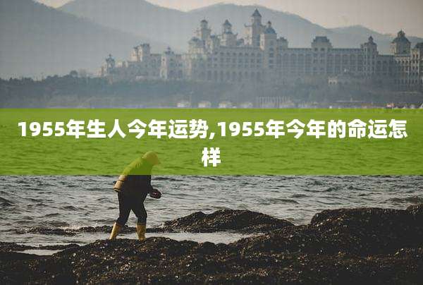 1955年生人今年运势,1955年今年的命运怎样