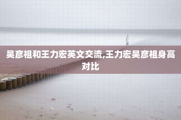 吴彦祖和王力宏英文交流,王力宏吴彦祖身高对比