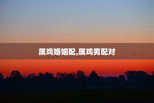 属鸡婚姻配,属鸡男配对