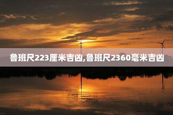 鲁班尺223厘米吉凶,鲁班尺2360毫米吉凶