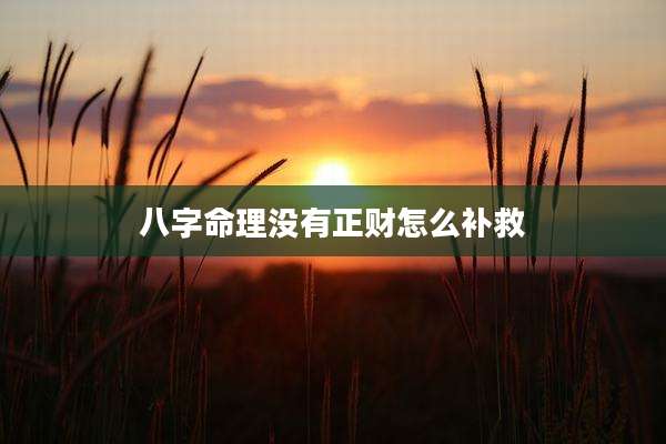 八字命理没有正财怎么补救
