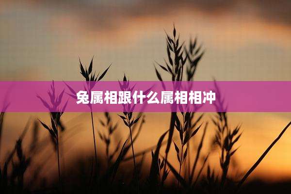 兔属相跟什么属相相冲