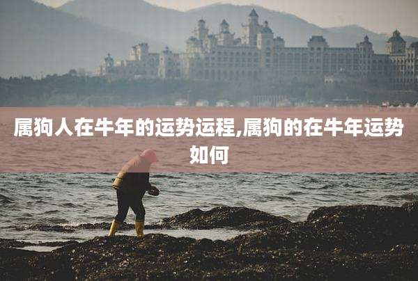 属狗人在牛年的运势运程,属狗的在牛年运势如何