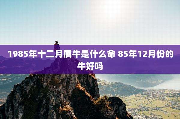 1985年十二月属牛是什么命 85年12月份的牛好吗