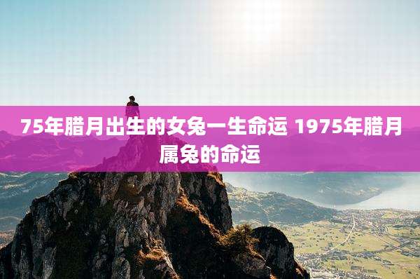 75年腊月出生的女兔一生命运 1975年腊月属兔的命运