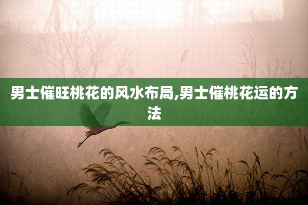 男士催旺桃花的风水布局,男士催桃花运的方法