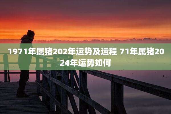 1971年属猪202年运势及运程 71年属猪2024年运势如何