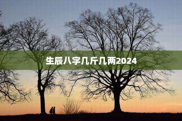 生辰八字几斤几两2024