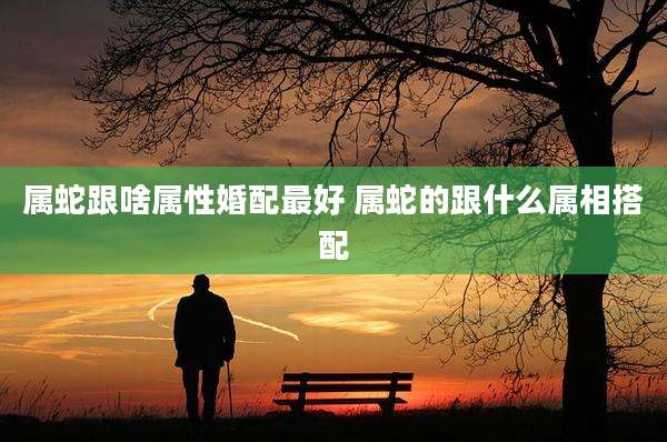 属蛇跟啥属性婚配最好 属蛇的跟什么属相搭配