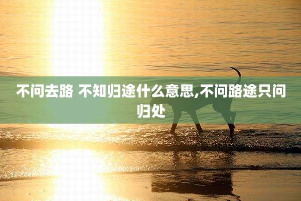 不问去路 不知归途什么意思,不问路途只问归处