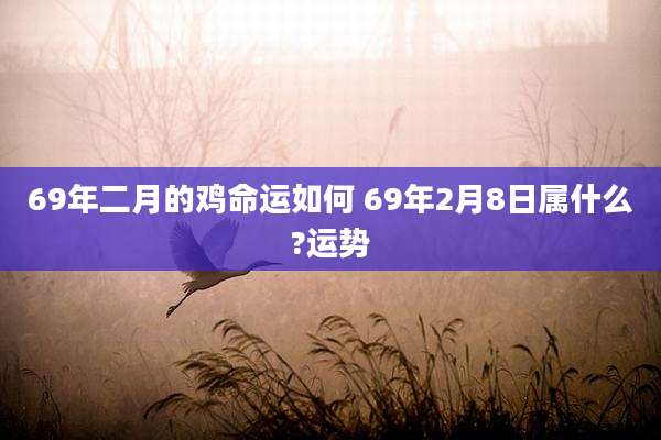 69年二月的鸡命运如何 69年2月8日属什么?运势