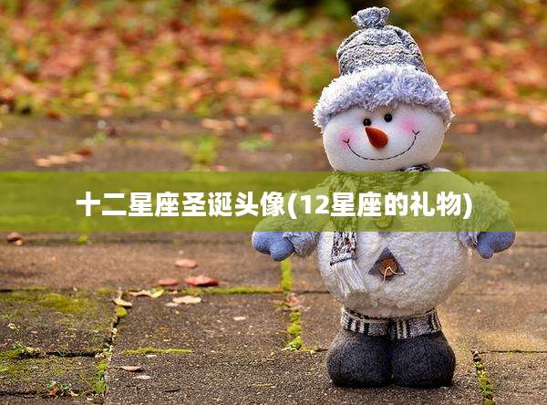 十二星座圣诞头像(12星座的礼物)