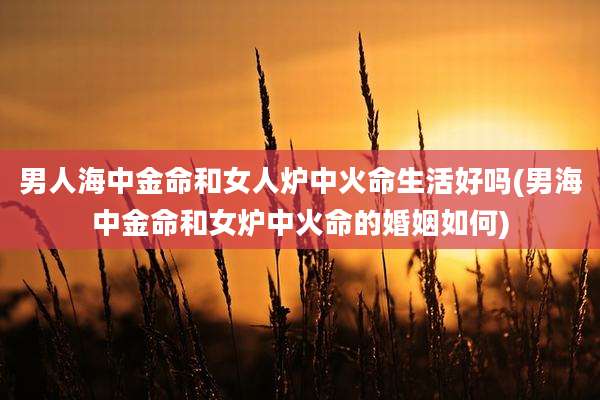 男人海中金命和女人炉中火命生活好吗(男海中金命和女炉中火命的婚姻如何)
